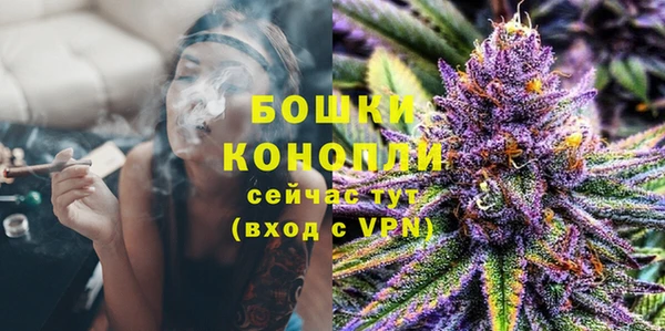индика Надым