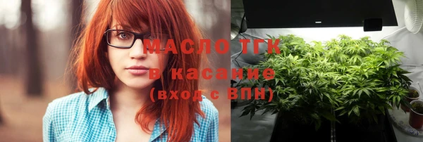 индика Надым