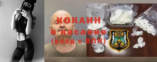 индика Надым