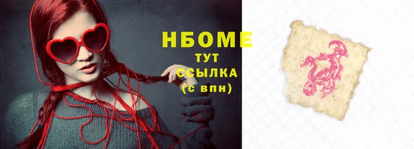 индика Надым