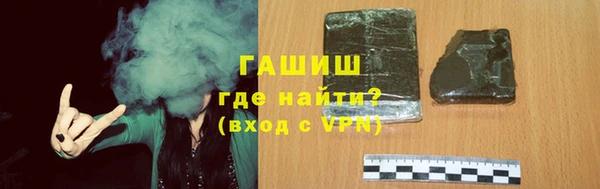 индика Надым