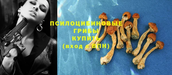 apvp Анжеро-Судженск