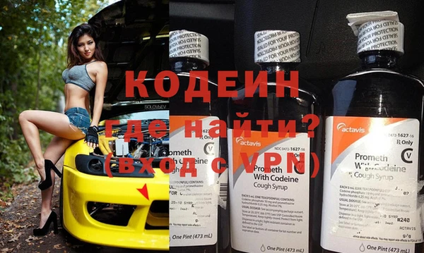 индика Надым