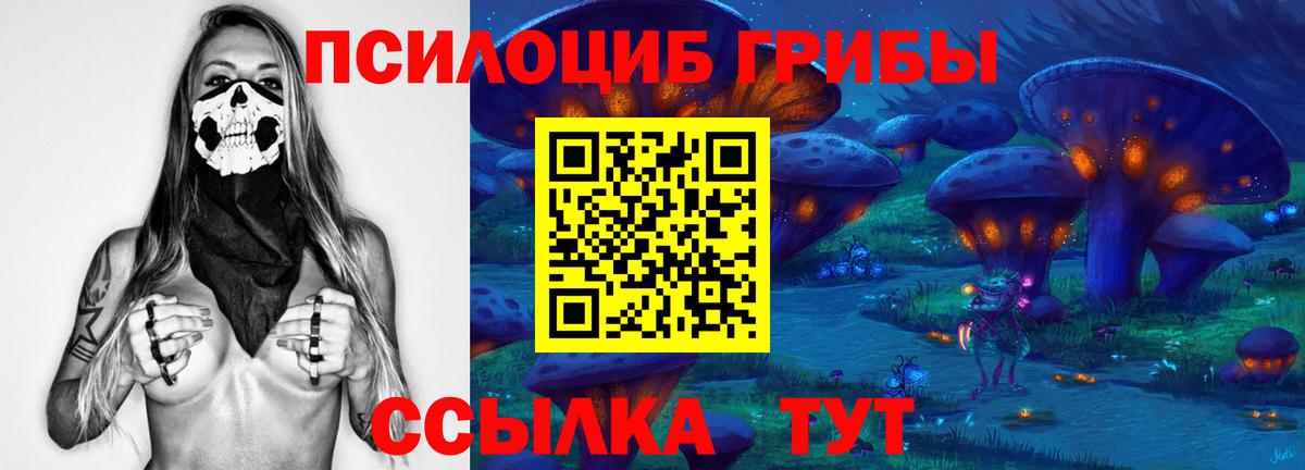 Галлюциногенные грибы Cubensis Магадан