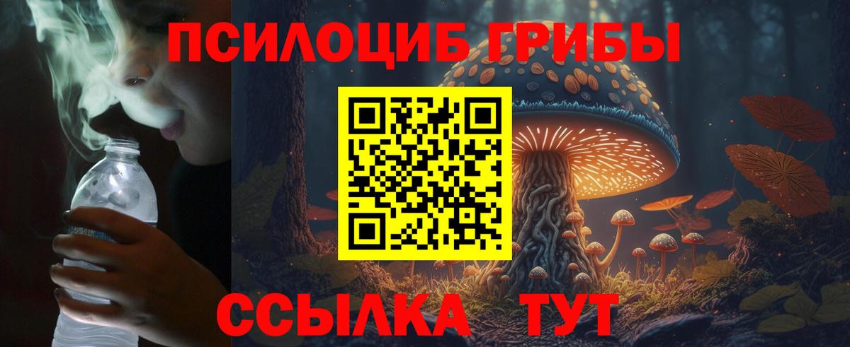купить   Вход с VPN  Магадан  Псилоцибиновые грибы прущие грибы 