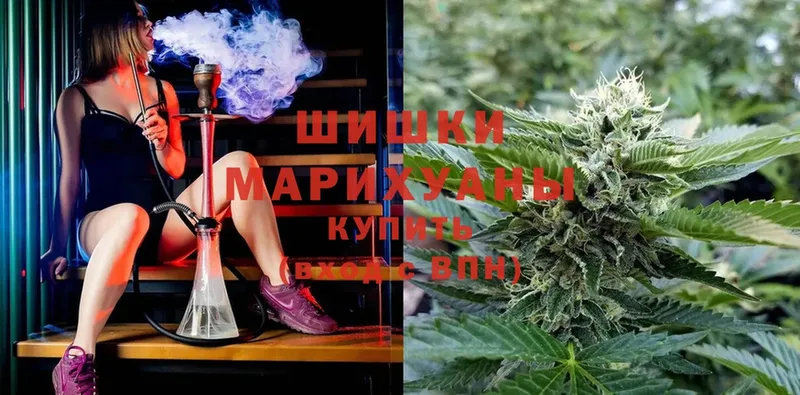 Бошки марихуана план  blacksprut рабочий сайт  Магадан  дарнет шоп 